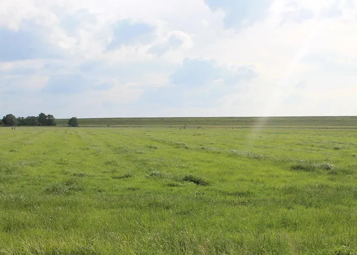 Сasa de vacaciones Haus Am Eckwarden