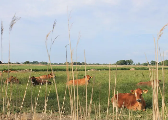 Haus Am Eckwarden Сasa de vacaciones